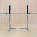 Adjustable Compact Squat Rack Stand for Home Gym