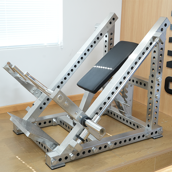 Stainless Steel Bent Over Row Trainer