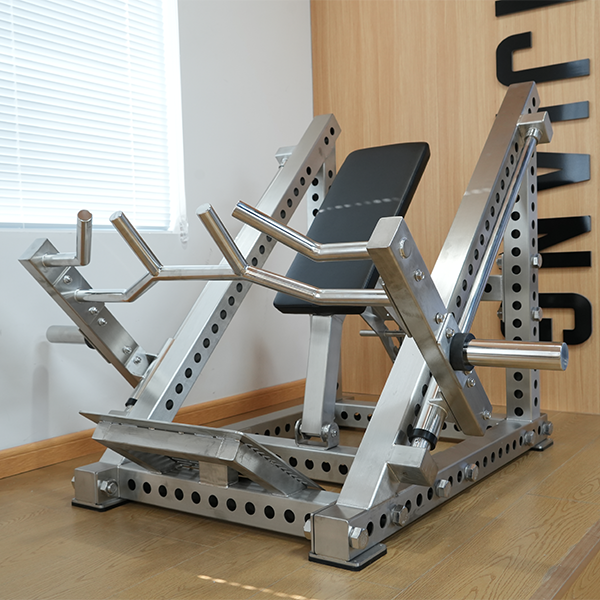 Stainless Steel Bent Over Row Trainer