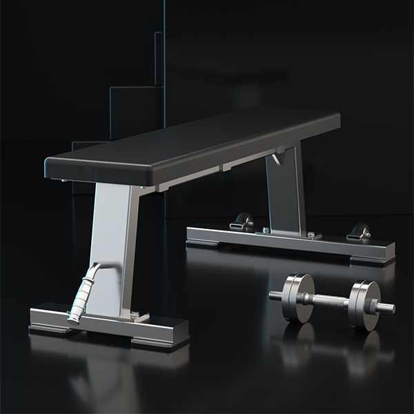 Stainless Steel Adjustable Weight Bench – Flat/Incline Dumbbell Bench for Home Gym Strength Training